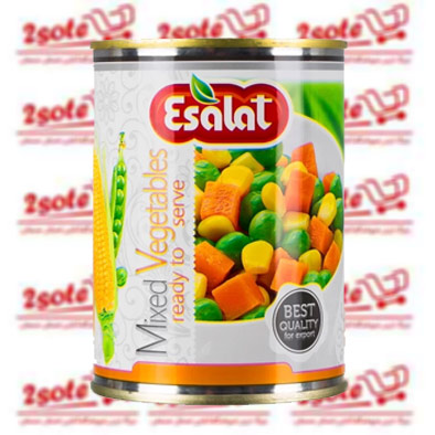 کنسرو سبزيجات  اصالت (380 گرم)