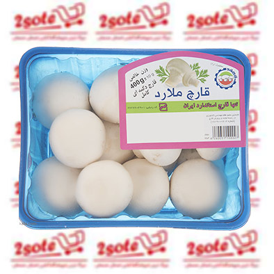 قارچ ملارد( 400 گرم)
