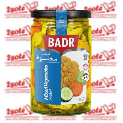 ترشي مخلوط بدر (630 گرم)